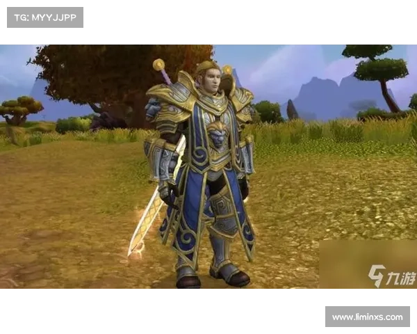 魔兽世界圣骑士复活之道